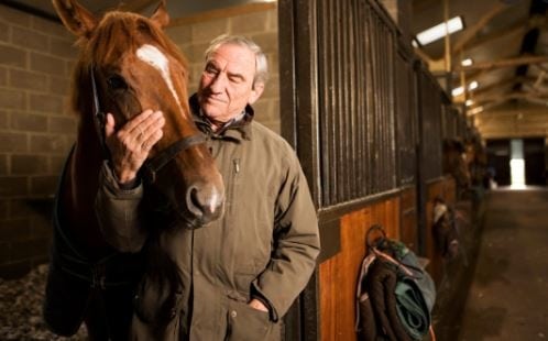 Luca Cumani loves training horses for jockey races. Is Cumani still training horses?